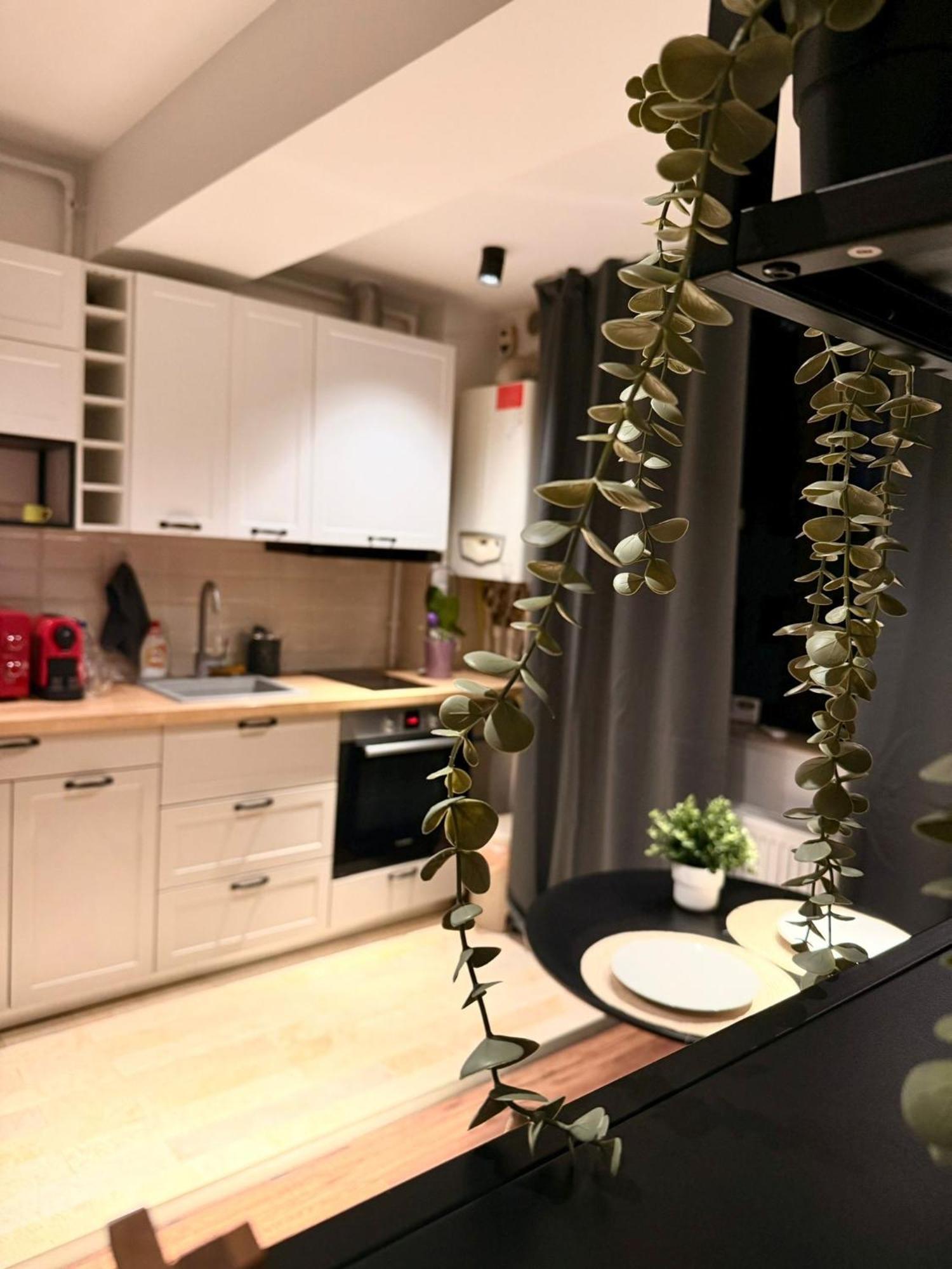 Cozy Apartment With Self Check-In Near Promenada Mall And Verdi Park 부쿠레슈티 외부 사진